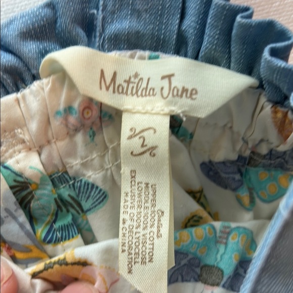 Matilda Jane 2Y Let’s Go Together Love Bug Butterfly Moth Dress Size 2 - Picture 2 of 6